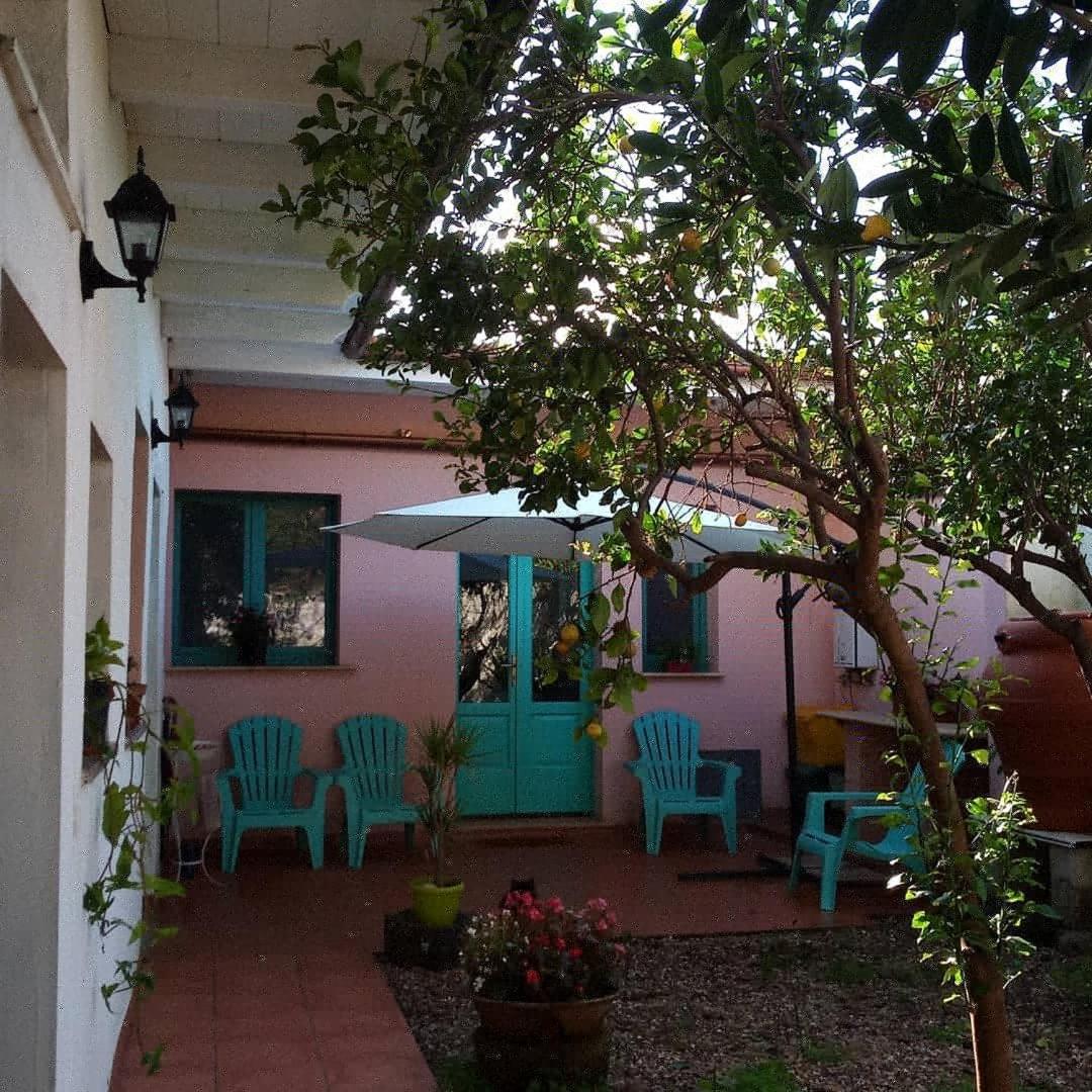 Bed and Breakfast Sardinia Eco Vegan House Zeddiani Exteriér fotografie