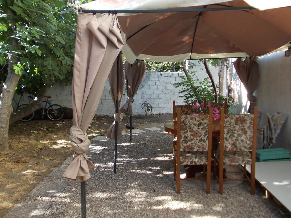Bed and Breakfast Sardinia Eco Vegan House Zeddiani Exteriér fotografie